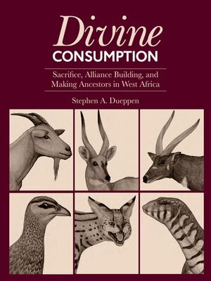 cover image of Divine Consumption